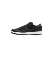 Nike SB Dunk Low "Wasted Youth"