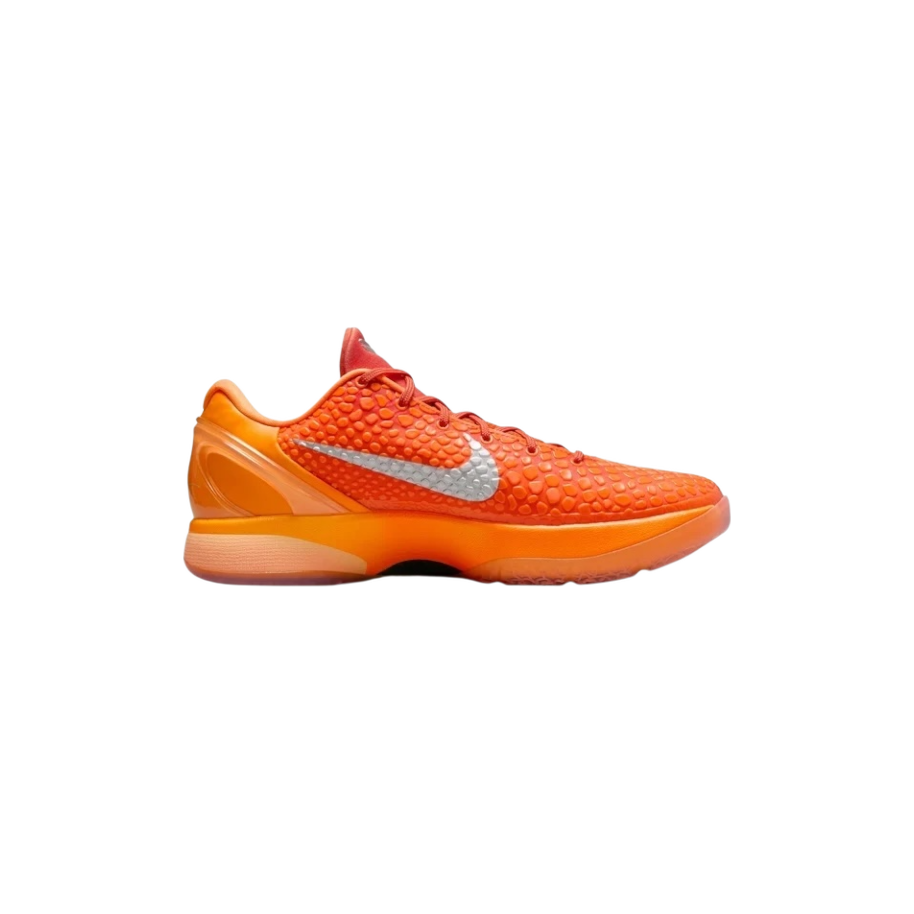 Photoroom_001_20260117_215625.png