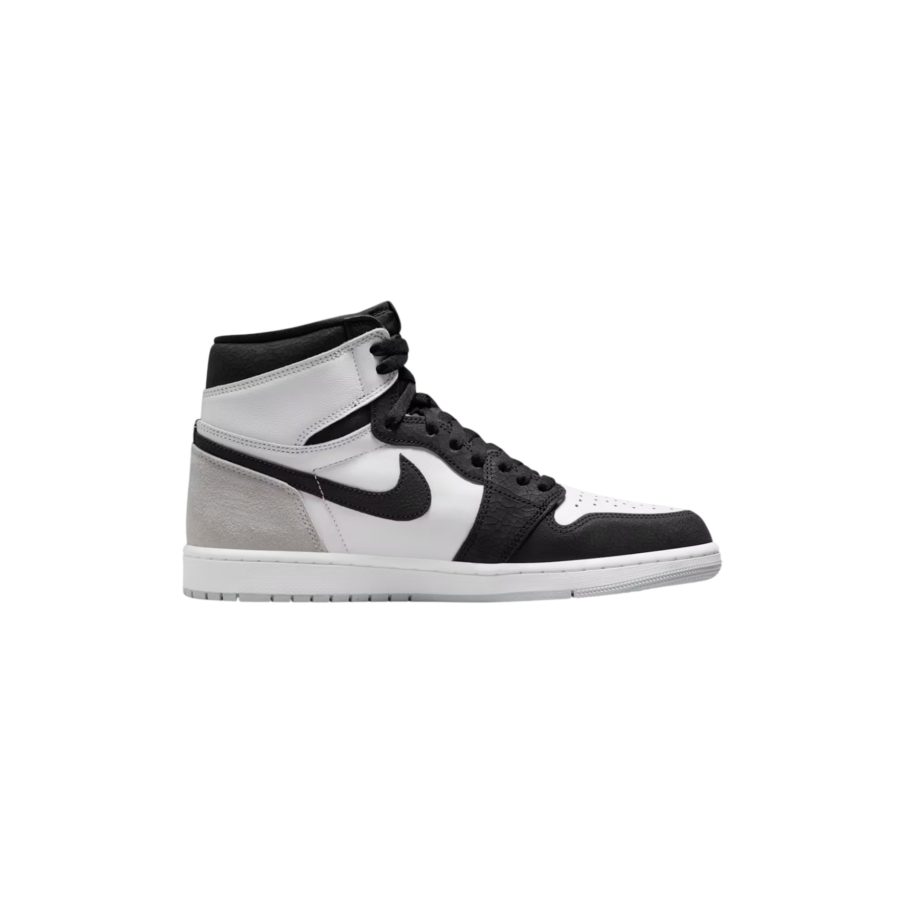 Photoroom_001_20260220_203853.png