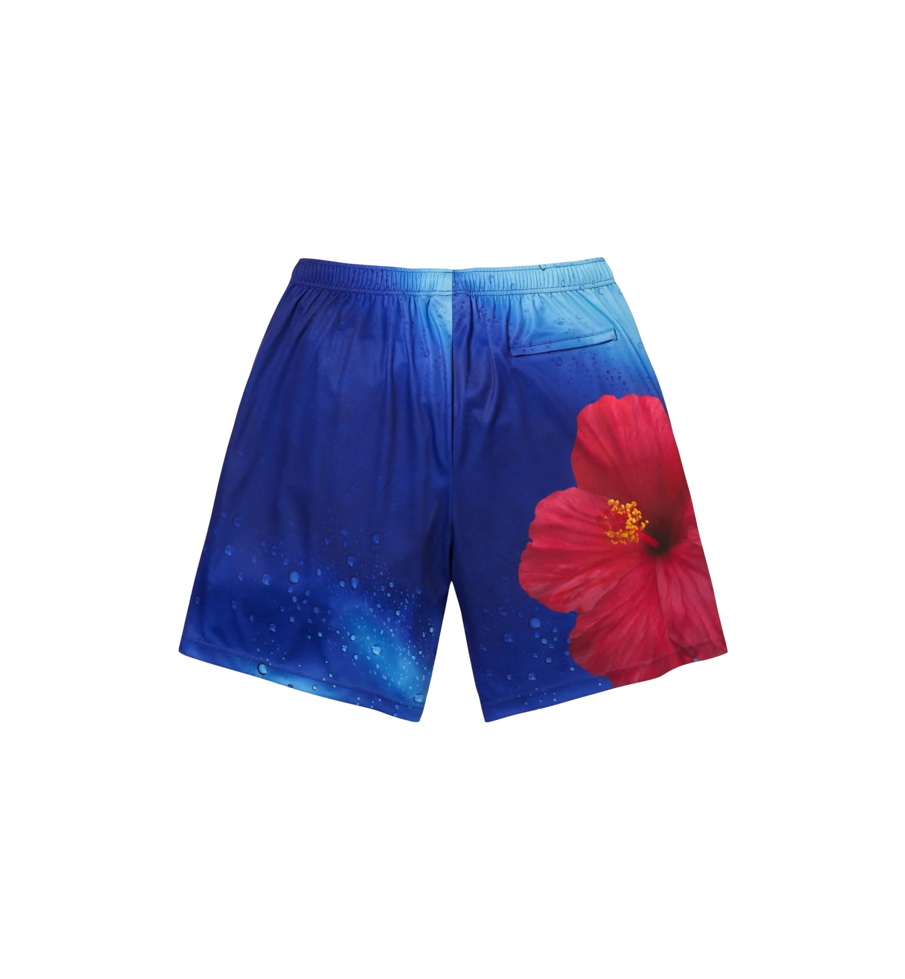 Supreme Fiji Soccer Short "Multicolor"