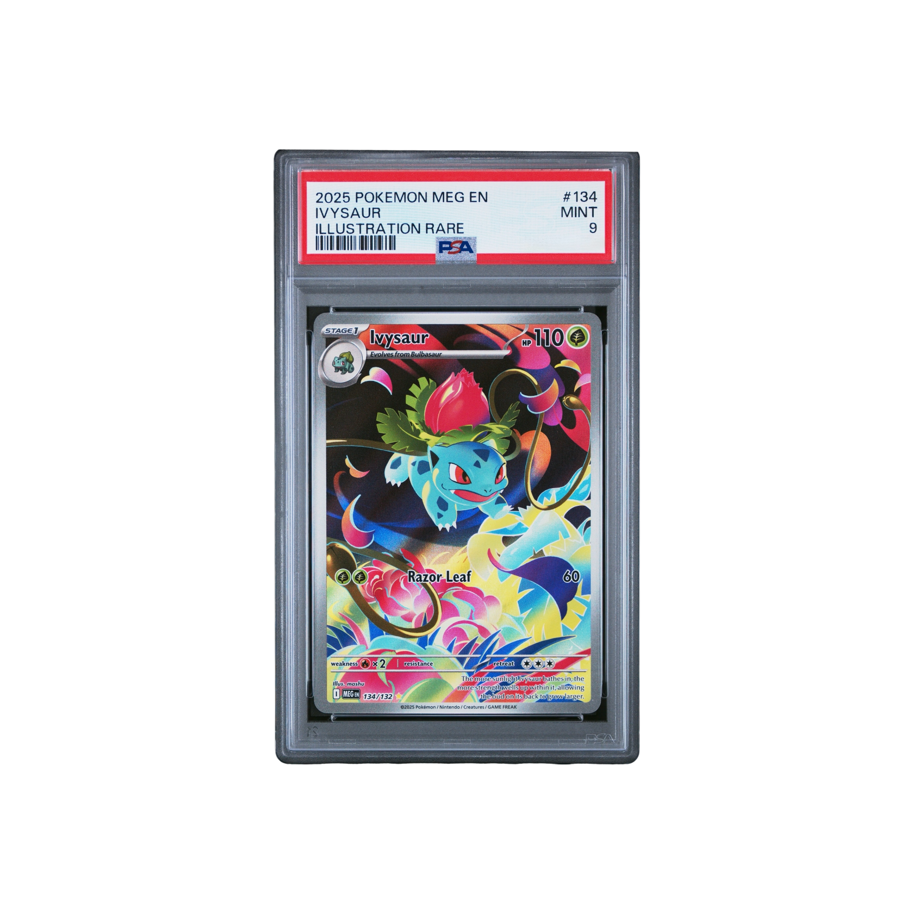 2025 Pokemon MEG EN-Mega Evolution Illustration Rare MINT 9 Ivysaur at Stashed UAE