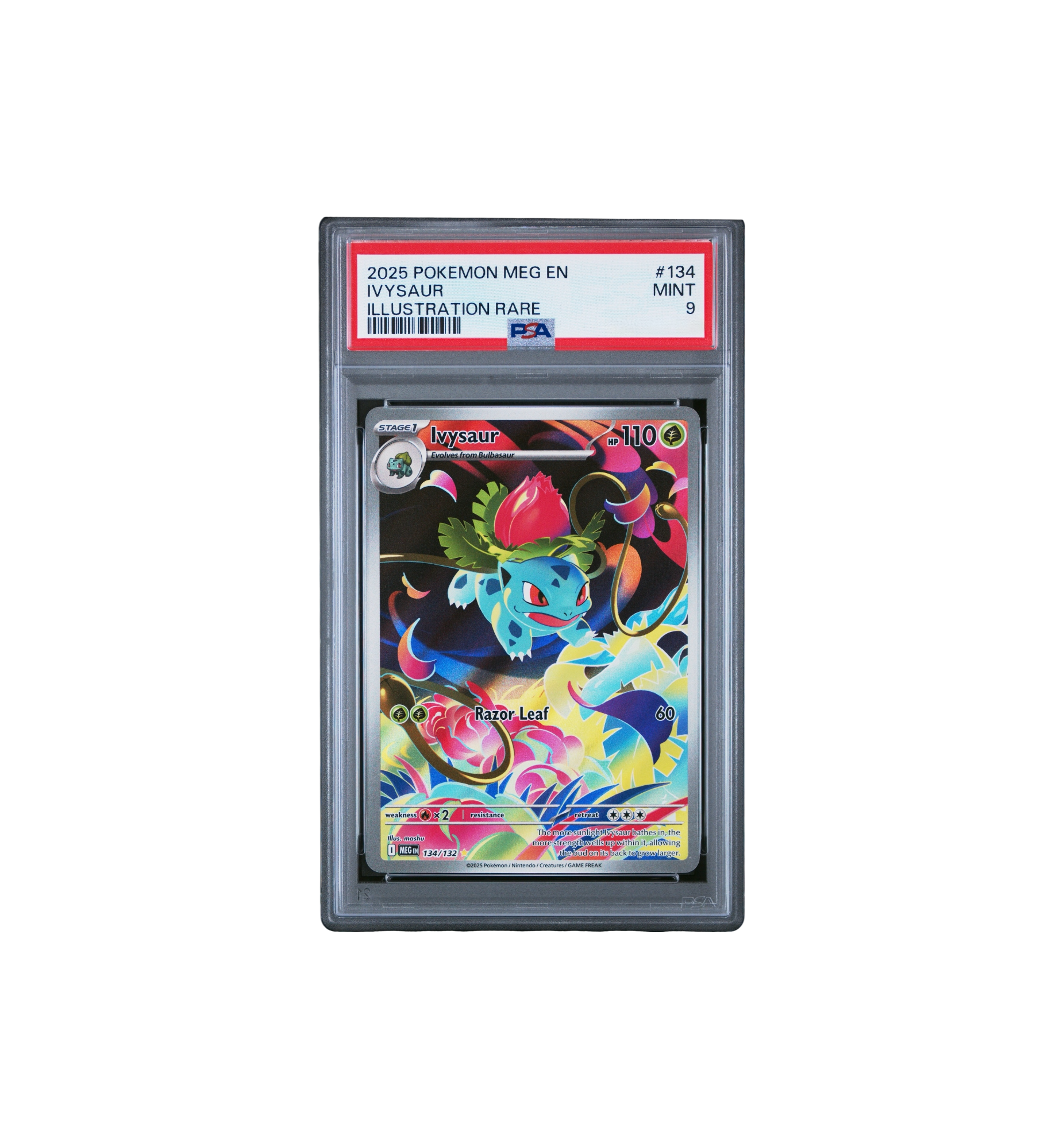 2025 Pokemon MEG EN-Mega Evolution Illustration Rare (MINT 9) "Ivysaur"