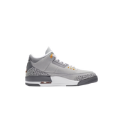 Air Jordan 3 Retro "Cool Grey (2021)"