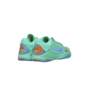 Nike Kobe 5 Protro Jalen Brunson NY vs. NY PE heel view at Stashed UAE