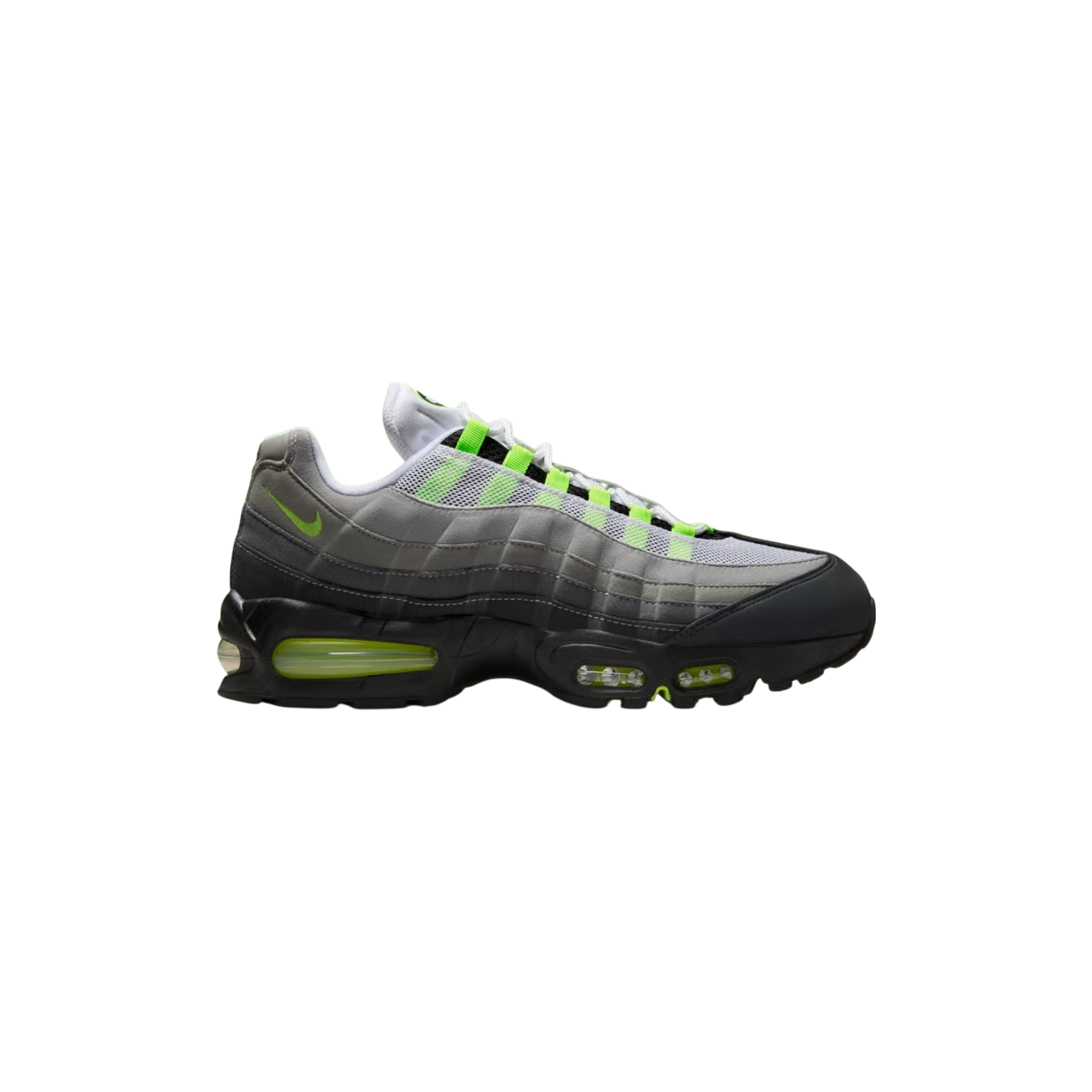 Photoroom_003_20260308_020652.png