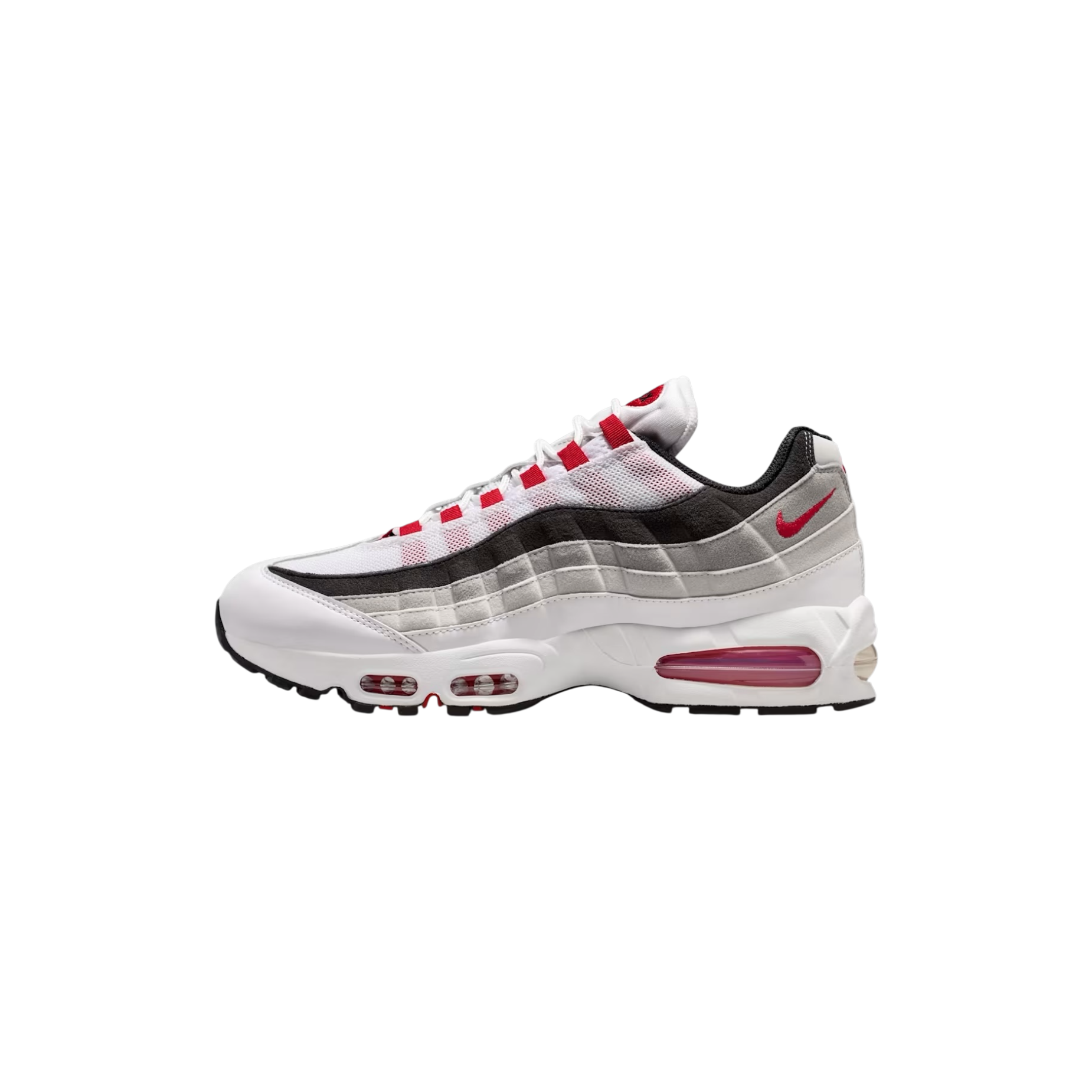 Photoroom_004_20260510_002620.png