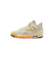 Air Jordan 4 Retro Birds of Paradise at Stashed UAE