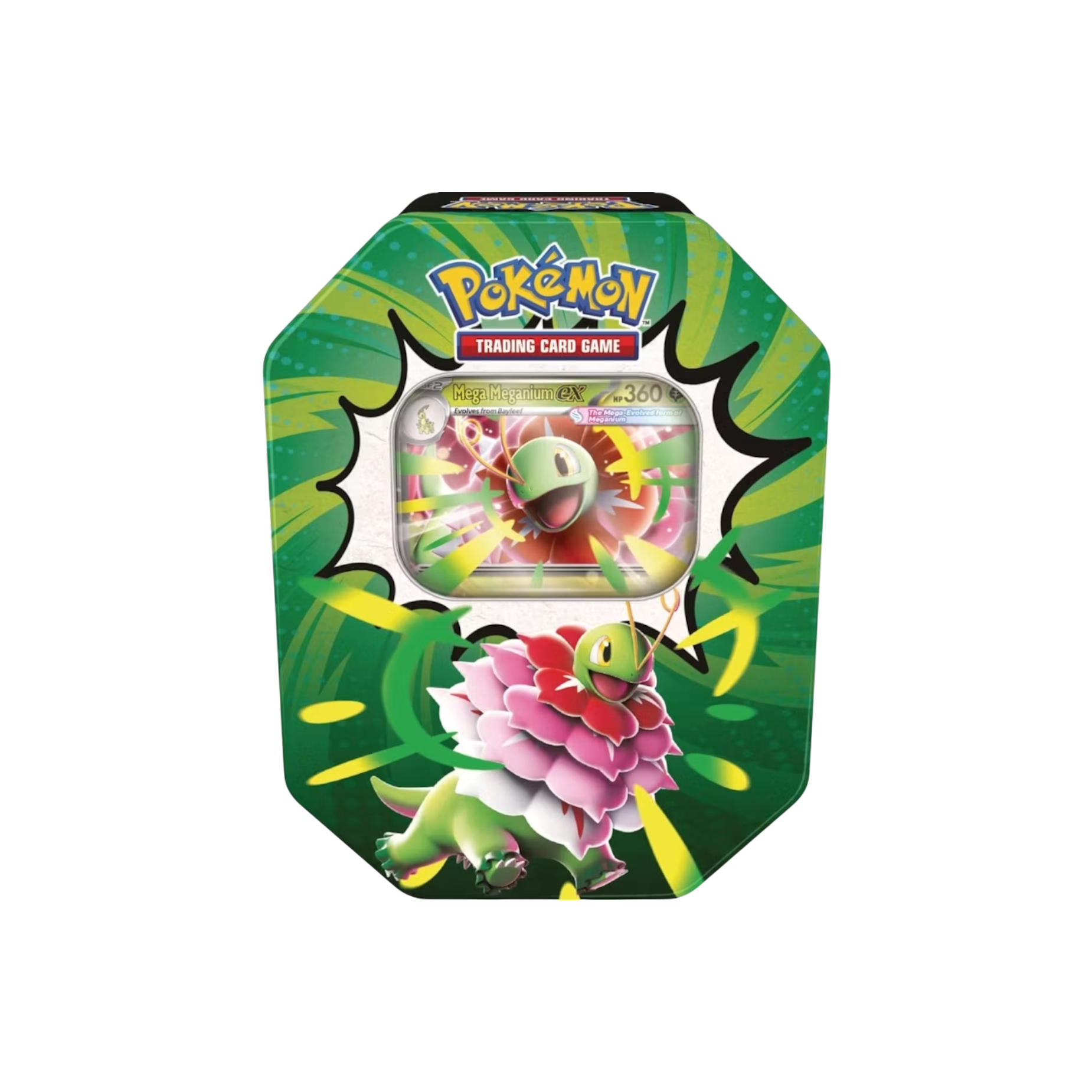 2026 Pokémon Mega Evolution Ascended Heroes Mega Meganium ex Tin at Stashed UAE
