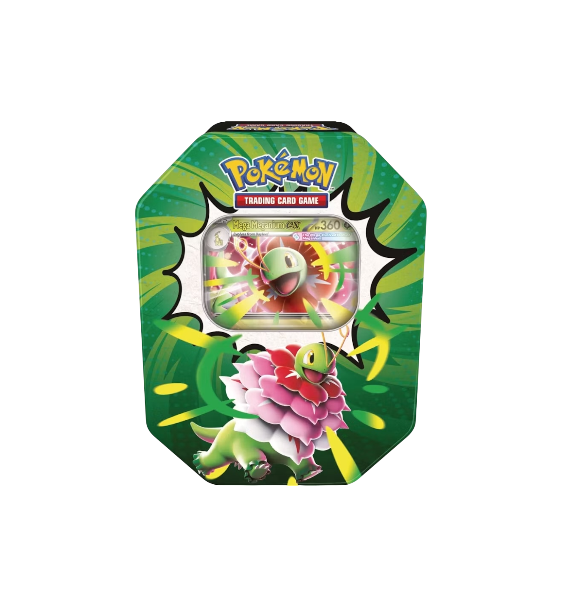 2026 Pokémon Mega Evolution Ascended Heroes Mega Meganium ex Tin at Stashed UAE