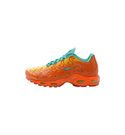 Nike Air Max Plus One Piece Mera Mera at Stashed UAE